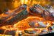 Настінний електричний камін Bonfire RLF-W06 (закруглене скло) W06 фото 4
